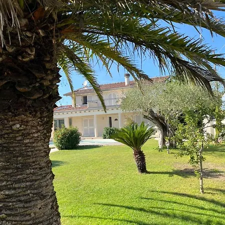 Concetta 招待所 *